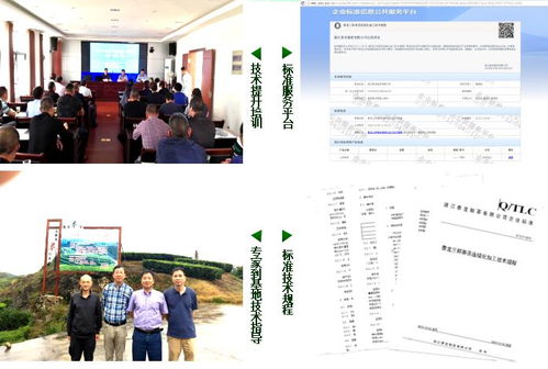 三杯香茶連續(xù)化加工技術(shù)示范與推廣項(xiàng)目獲好評(píng)，為茶產(chǎn)業(yè)現(xiàn)代化注入新動(dòng)力